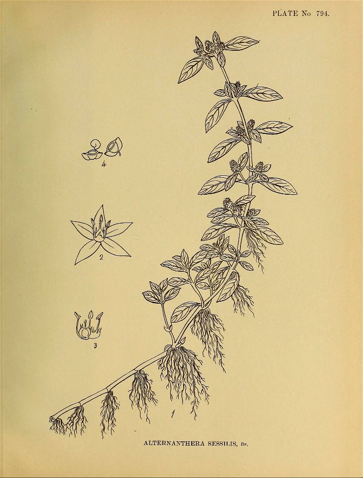 n504_w1150