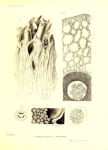 n332_w1150