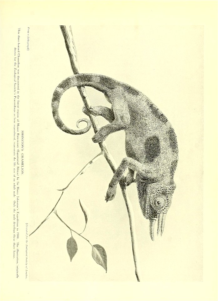 n818_w1150