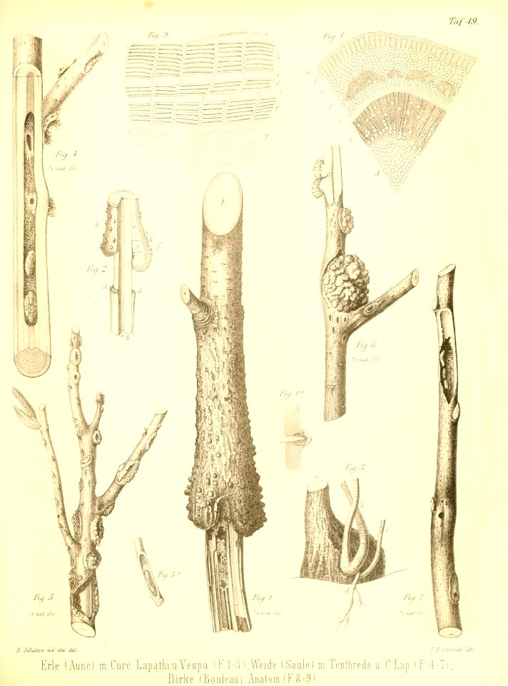 n522_w1150