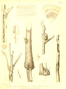 n522_w1150