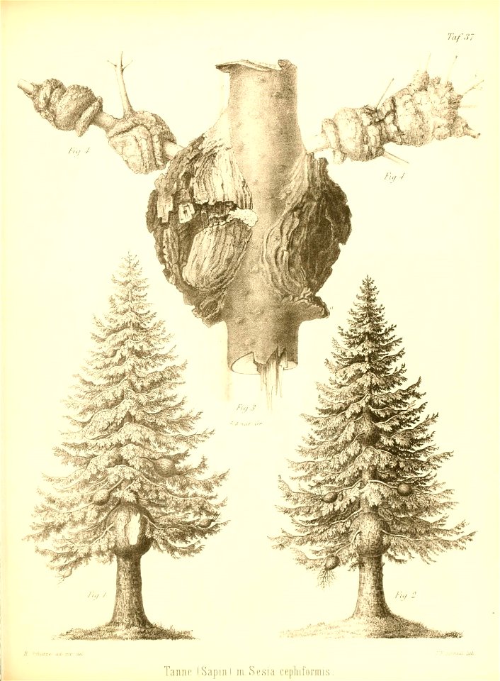 n492_w1150