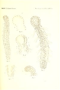 n328_w1150