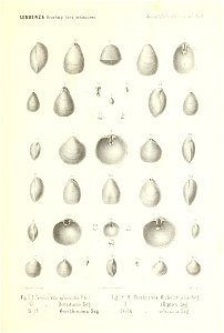 n174_w1150