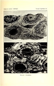 n278_w1150