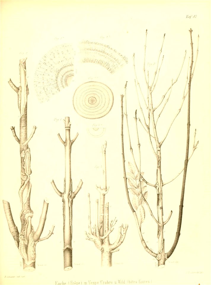 n518_w1150