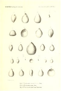 n172_w1150