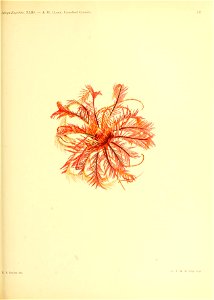 n354_w1150