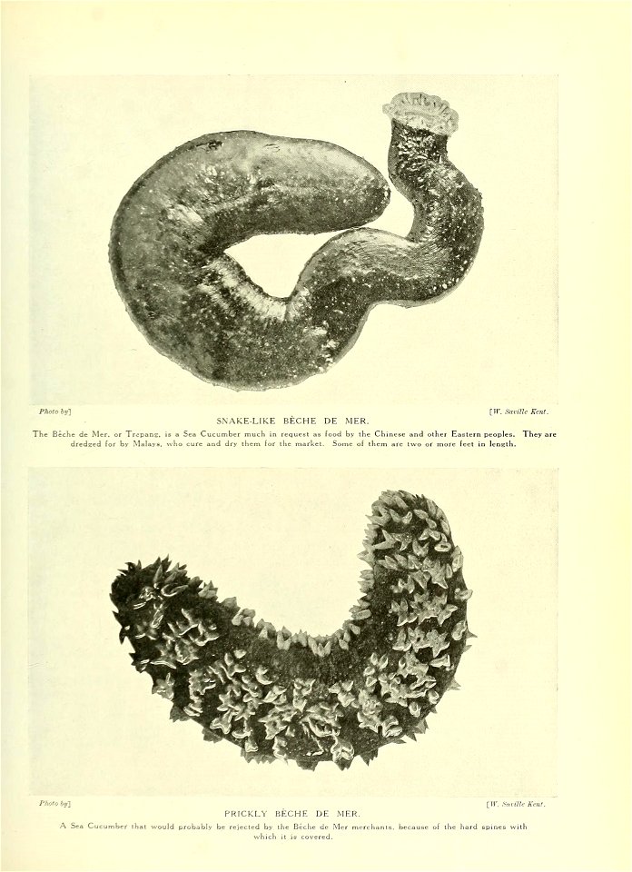 n374_w1150