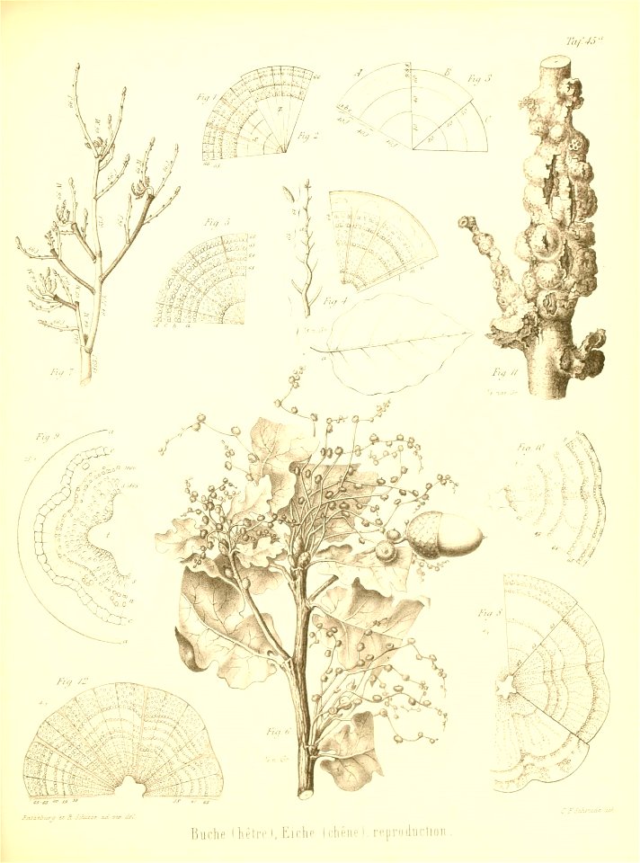 n514_w1150