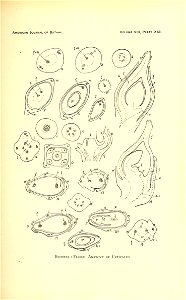 n496_w1150