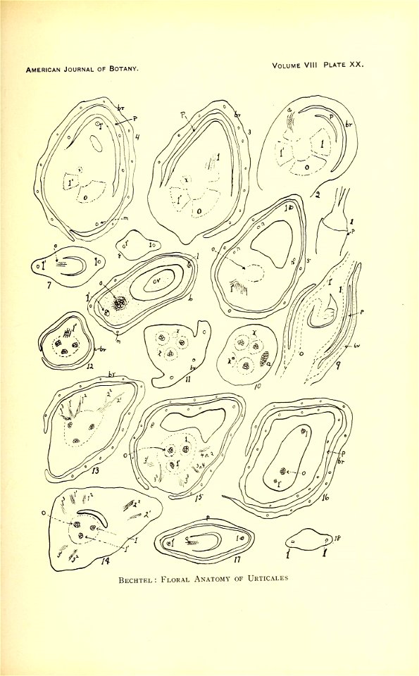 n492_w1150