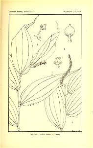 n252_w1150