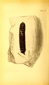 n229_w1150