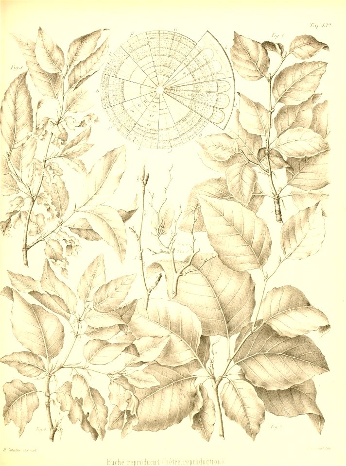 n508_w1150