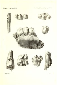 n224_w1150