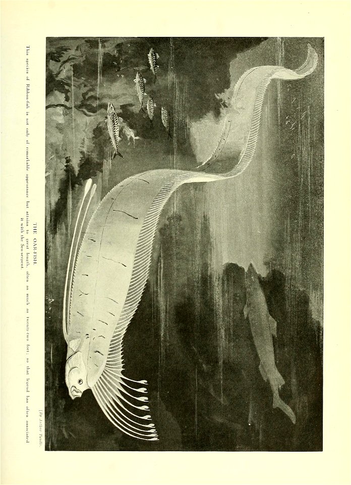 n722_w1150