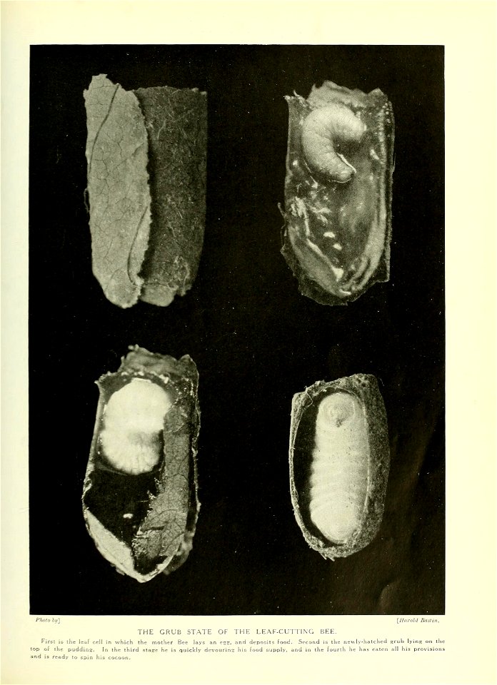 n482_w1150