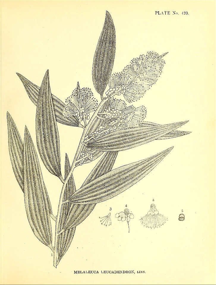 n46_w1150
