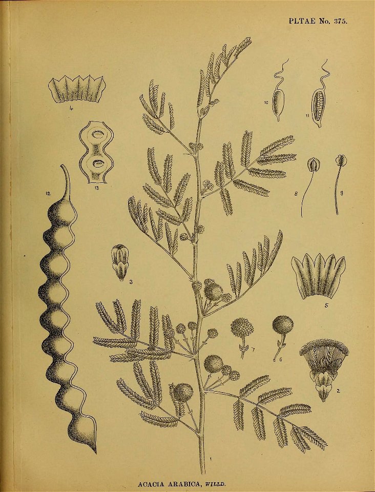 n398_w1150