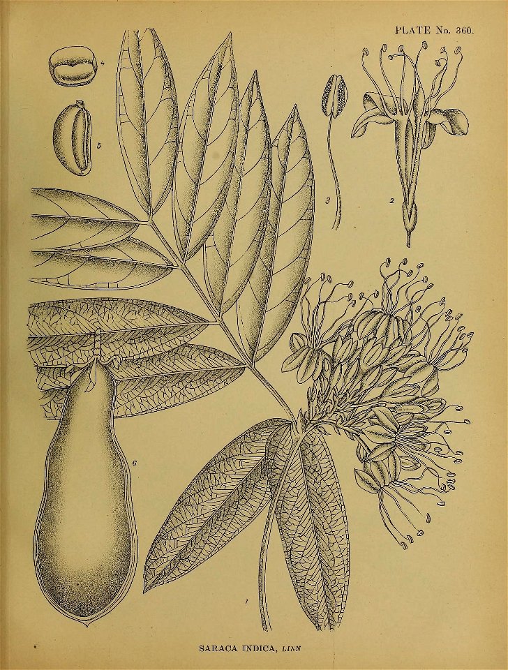 n368_w1150