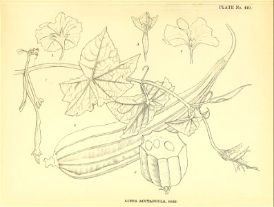 n116_w1150