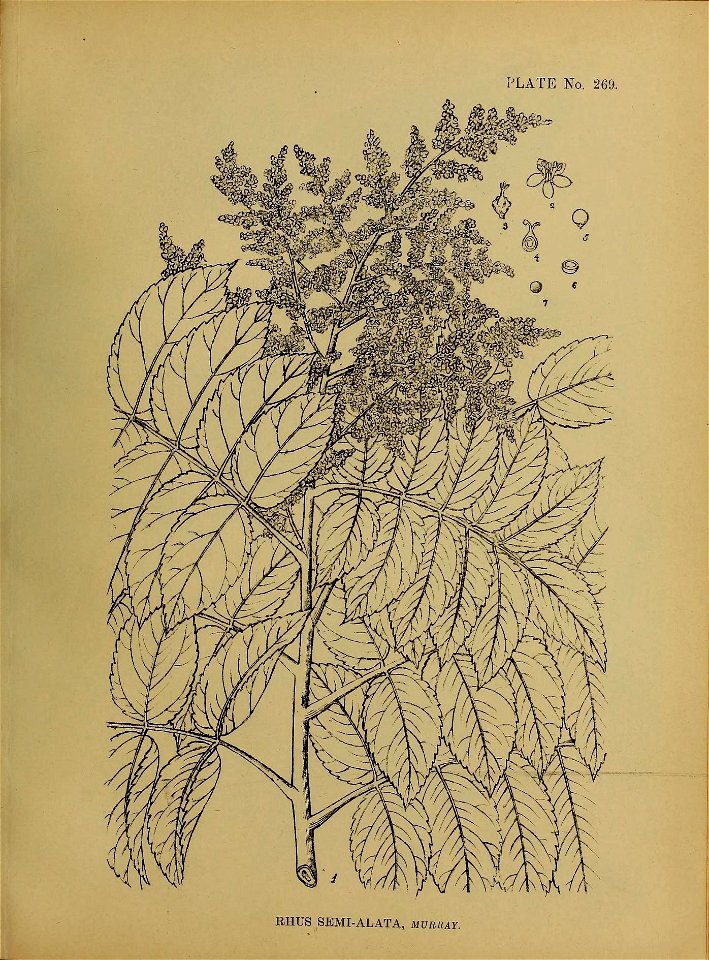 n172_w1150