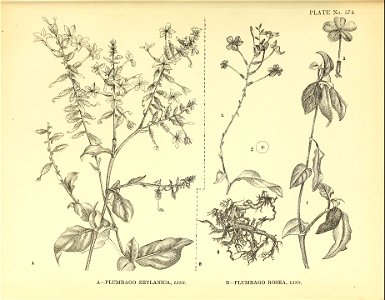 n484_w1150