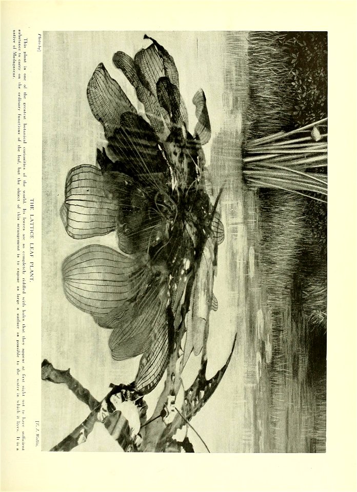 n468_w1150