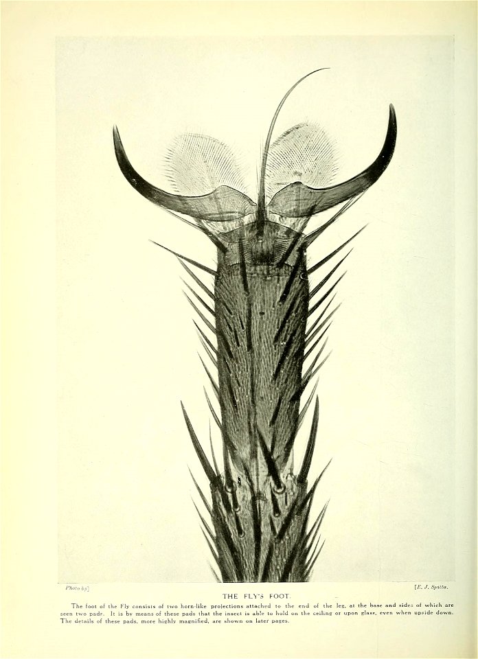 n393_w1150