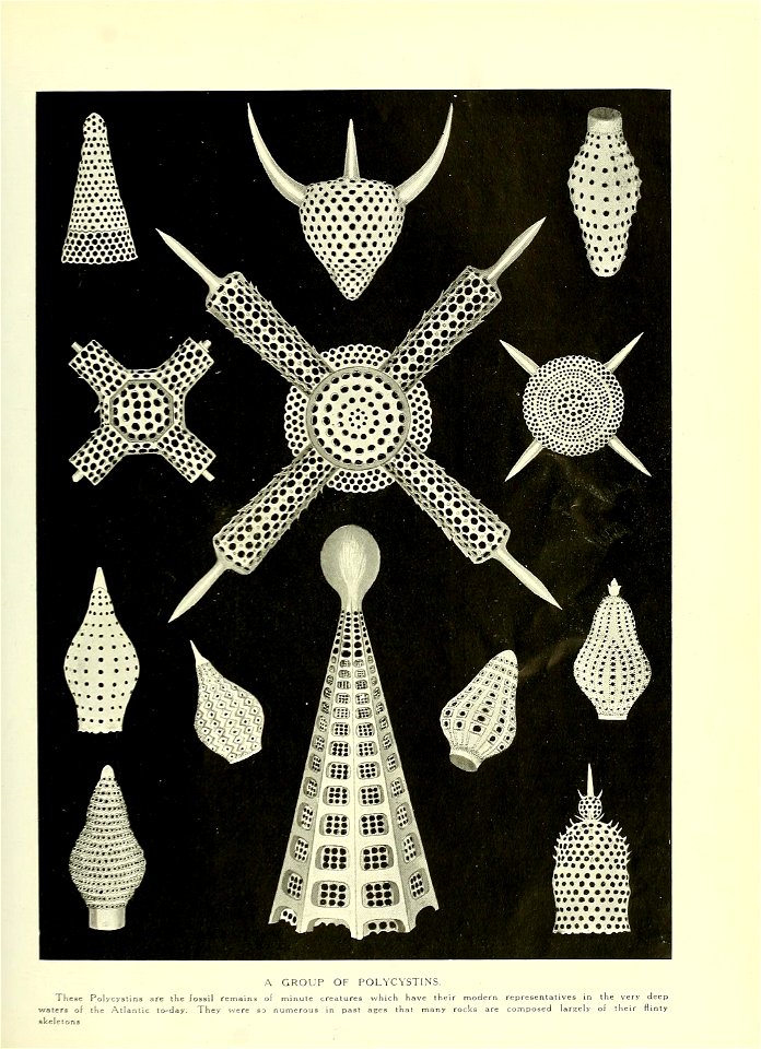 n206_w1150