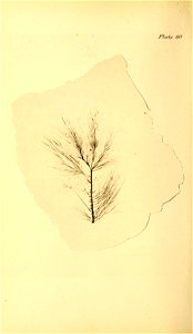 n249_w1150
