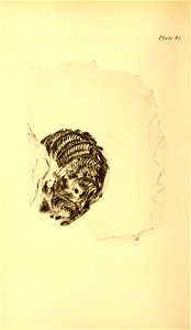 n193_w1150