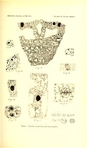 n332_w1150