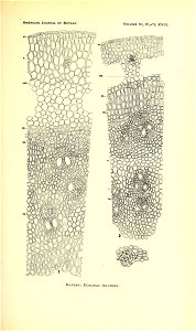 n160_w1150