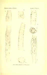 n114_w1150