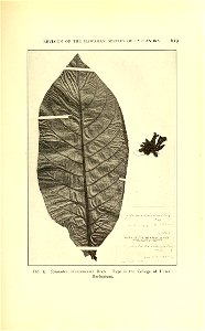 n708_w1150