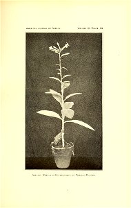 n558_w1150