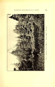 n216_w1150
