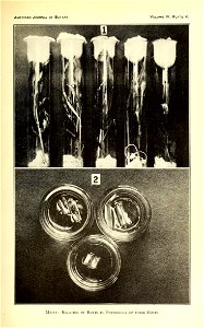 n250_w1150