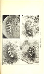 n638_w1150