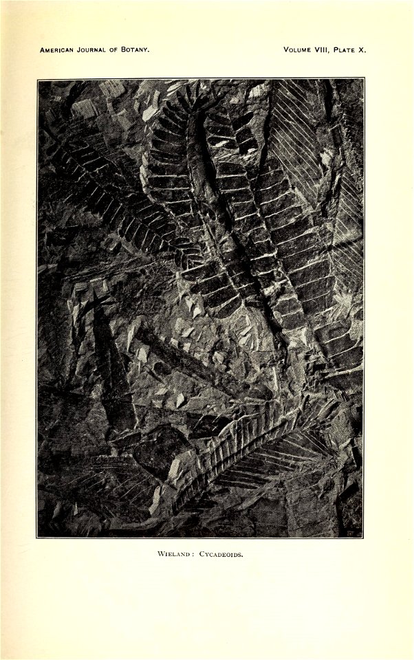 n276_w1150