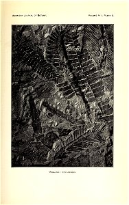 n276_w1150