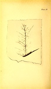 n245_w1150