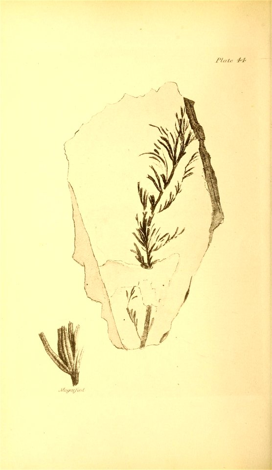 n189_w1150