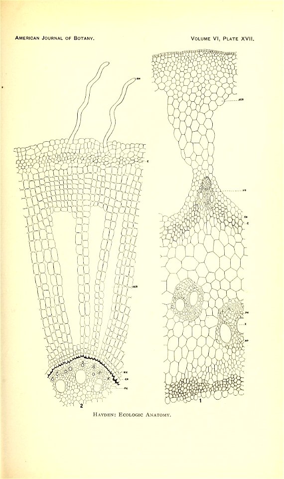 n158_w1150