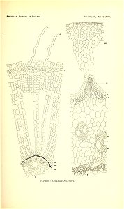 n158_w1150