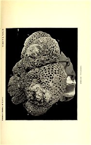 n274_w1150