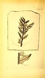 n127_w1150