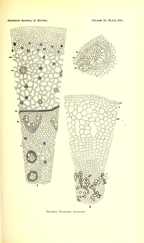 n156_w1150